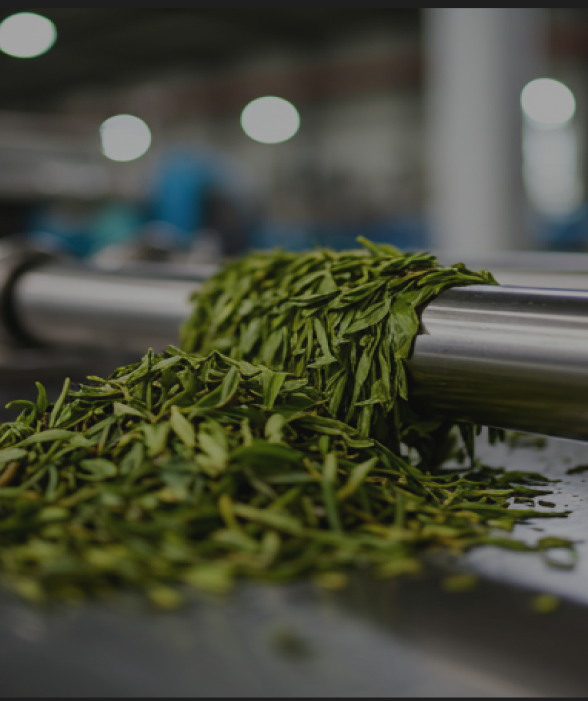 Tea Manufacturing Machines